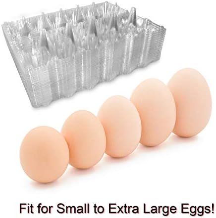 Cartons grandes de ovos 30 pacotes com etiquetas de adesivos, caixa de ovos de plástico para 12 ovos, suporte para recipiente de ovo de ovo a granel barato para geladeira, armazenamento, família, fazenda de frango, mercado, acampamento