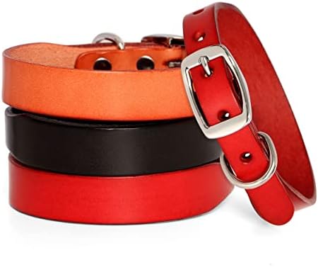 Didog Leather Dog Collar para pequenos cães médios, colares de cachorro de couro clássicos e macios com fivela de metal sólido para treinamento de caminhada, preto, S