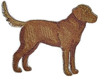 Retratos incríveis de cães personalizados [Chesapeake Bay Retriever] Bordado Ferro On/Sew Patch [5 x 3,9] [Feito nos EUA]