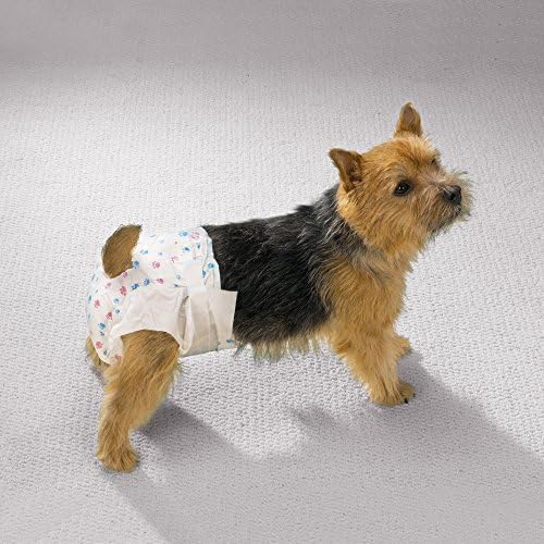 Limpo Go Pet descartável fraldas de cachorro-fraldas convenientes para cães, cães, cães em calor e filhotes, x-small