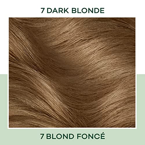 Clairol Instintos naturais Demi-corante de cabelo permanente, 7 cor de cabelo loiro escuro, pacote de 1