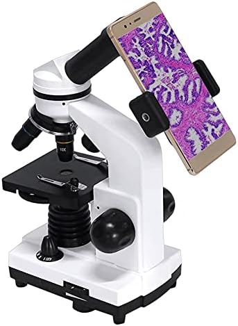 Composto Profissional de Microscópio Biológico Profissional Microscópio Microscópio Microscópio Microscópio de Exploração