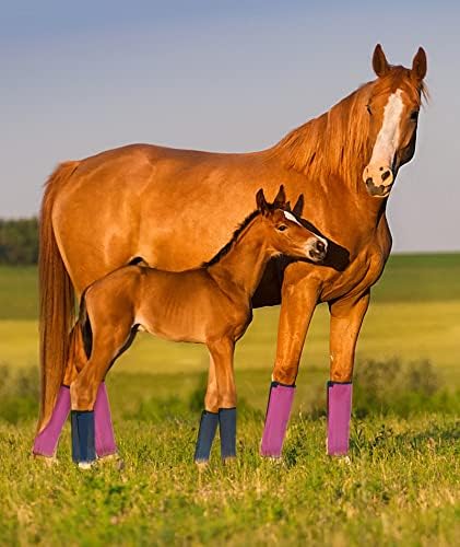 Botas de mosca de cavalo gydoty para pônei - Donkey, Mini Mesh perna Proteção da mosca, Botas de mosca de pernas de cavalo Conjunto