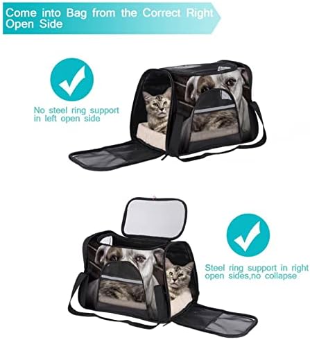 Portador de animais de estimação Boxer Cool Dog Soff-lateral Pet Travel portadores de corgi, gatos, cães cachorros conforto portátil Pet Saco de estimação Airline aprovada