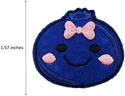 Reelfun Blueberry Fruit Bordeded Iron on Patch