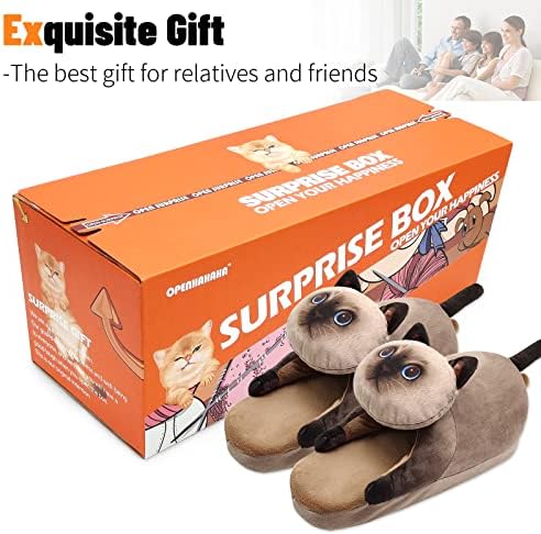 Flipers de gato fuzzy engraçados para mulheres, sapatos de casas fofas do quarto, chinelos de animais e externos de