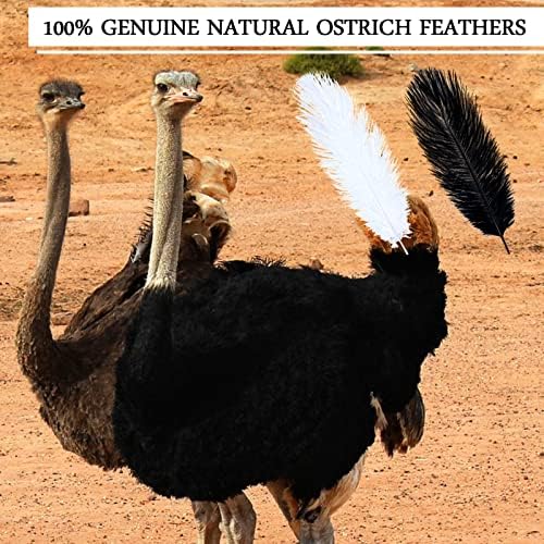 100 PCS Fedas de avestruz naturais de 8 a 10 polegadas/ 20-25 cm Plumes Feathers For Crafts White Black Astrich