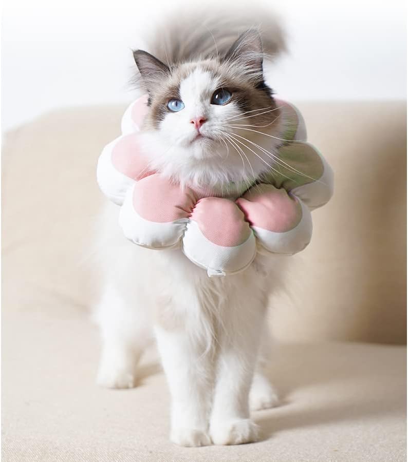 Shiaomin Cat Recuperação Cone Collar Colar ELIZABETHAN CLARA APÓS A CURGERS Recuperação Cone de animais de estimação