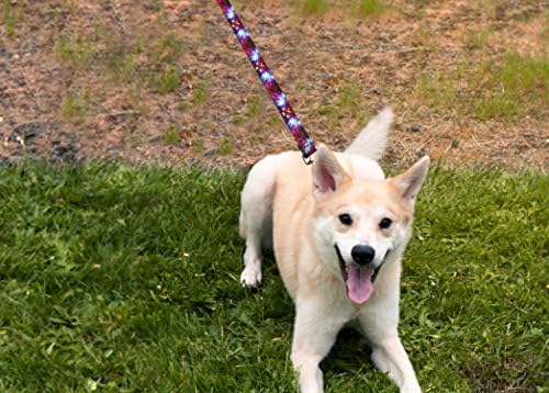 Moose Pet Wear Deluxe Dog Leash - colares de animais pesados ​​padronizados, feitos nos EUA - 1 polegada x 6 pés, Tiki Green