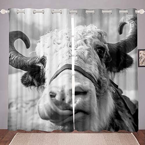 Erosebridal Highland Cow Window Window Animais de fazenda cortinas para crianças meninos adolescentes, cowboys de fazenda cortina