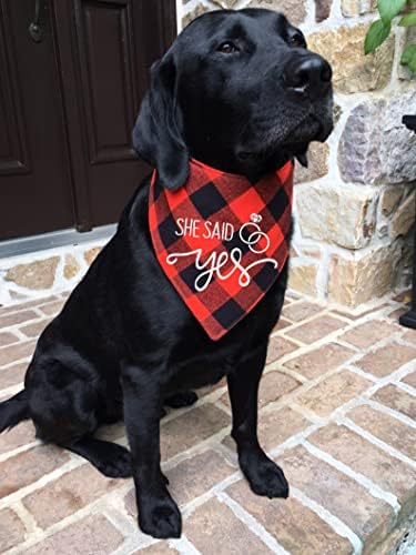 Ptzizi algodão engraçado Ela disse sim, cão de pet cães de cães pet bandana de petra de cães de casamento, foto de pet acessórios