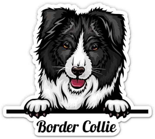 Adesivo de border collie - adesivo de laptop de 5 - vinil à prova d'água para carro, telefone, garrafa de água - adesivo de border collie