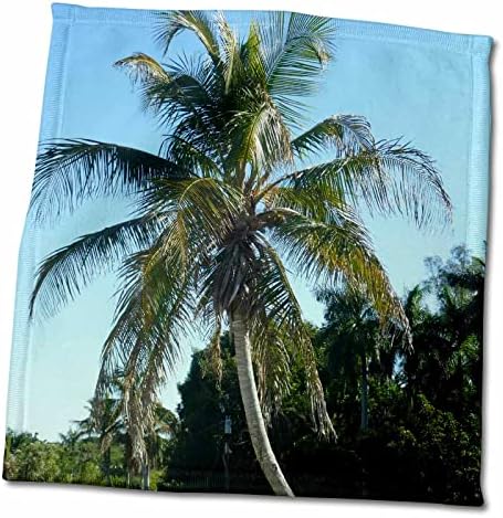 3drose Florene Tropical Landscape - Palm Pretty - Toalhas