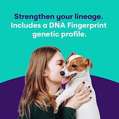 Kit de teste de DNA de cães Orivet - perfil de raça completa de Labradoodle | Testes de filhotes contra 250 riscos e