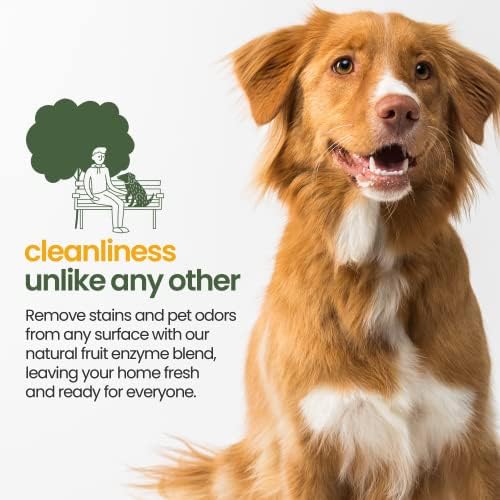 Removedor de odor de urina para animais de estimação Removedor e limpador de enzimas para carpete, tapete e móveis - Solução neutralizadora