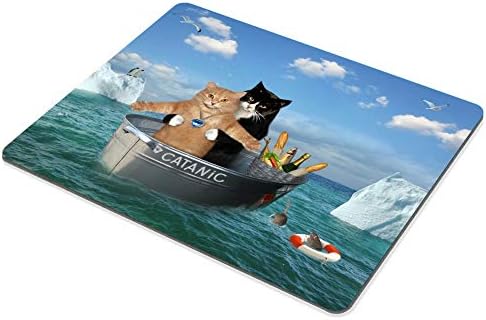 Mouse de gatos de gatos engraçados, os dois corajosos gatos estão flutuando na lavagem de aço entre os icebergsin