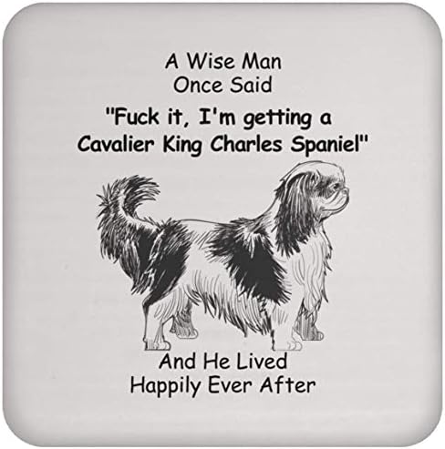 Presentes adoráveis ​​Cavalier King Charles Spaniel Gifts For Men Christmas 2023 Gifts Coaster