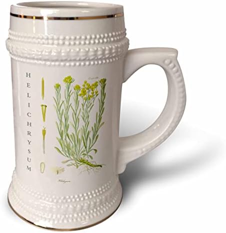 3drose helichrysum erva arte fitoterapia plantas medicinais. - 22 onças de caneca