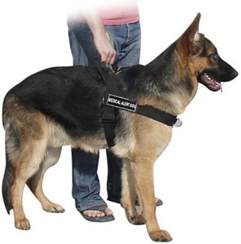 DT Universal No Pull Dog Arnness, Alert Medical Dog, Black, X-Large, se encaixa no tamanho: 36 polegadas a 47 polegadas