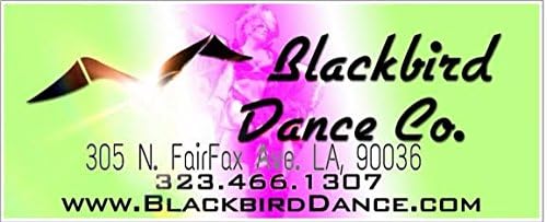 Blackbird Revolution Spandex Flow Color Flow Tights