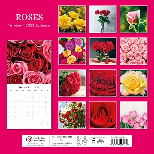 2023 Roses Monthly Wall Calendar por Red Robin Calendários 12 x 12