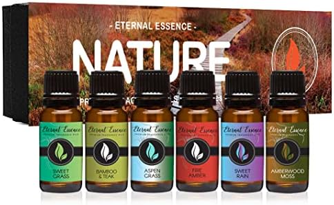 Natureza - Conjunto de presentes de 6 óleos de fragrância premium - grama doce, grama aspen, âmbar de fogo, chuva