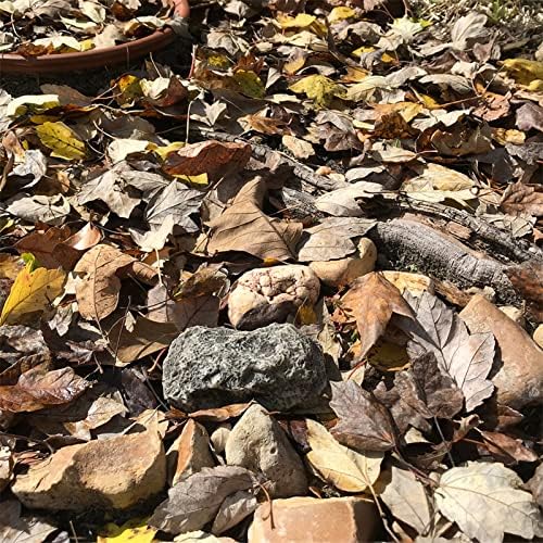 Pangea Key Hider Fake Rock, à prova de intempéries e seguro para chaves sobressalentes, aparência real e de pedra, jardim, ao ar livre, geocaching
