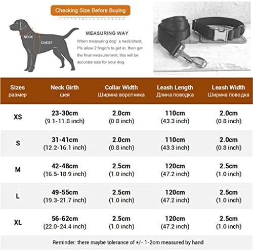 Uoeidosb Dog -Collar Id Id ID Colar personalizado de animais de estimação com coleira para Chihuahua Boy Dog Turquesa Velvet Dog Collar and Leash Set