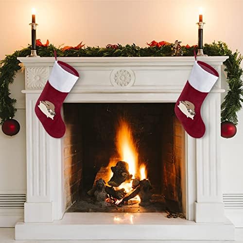 Preguiça e pug personalizados meias de Natal em casa lareira de árvore de natal