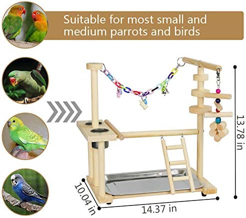 Exttlliy papagaio de pássaro playground girdcage playstand tocar ginástica periquidade Playpen escada com brinquedos de pássaros com copo de alimentação