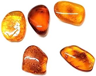 Ian e Valeri Co. Báltico natural âmbar minúsculo conjunto de pedras preciosas soltas de 5