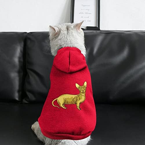 Sphynx Sphinx gato gatinho de uma peça de cão roupas de roupa de estimação com acessórios para animais de estimação para cachorrinho