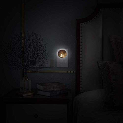 Baby Night Light With Winter Valentines Day Casais