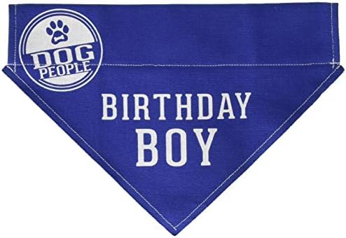 Pavilhão - Aniversário Boy - Blue Grande Dog Slip -On Collar Canvas Bandana