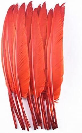 Zamihalaa - 20pcs/lote vermelho galo de ganso Fedas de faisão para artesanato pavão pavão pavor penas de penas de casamento plumas