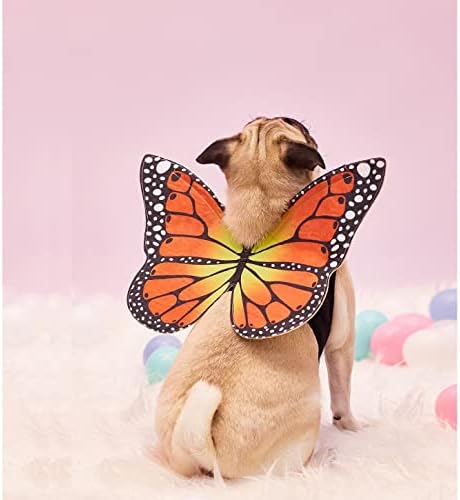 SOQMYCAT Cute Butterfly Butterfly Wing Dog Cat Figurino Cosplay Cosplay