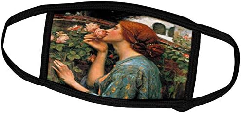 3drose VintageCechest - obras -primas - Waterhouse - Cheiro de rosas - tampas de rosto