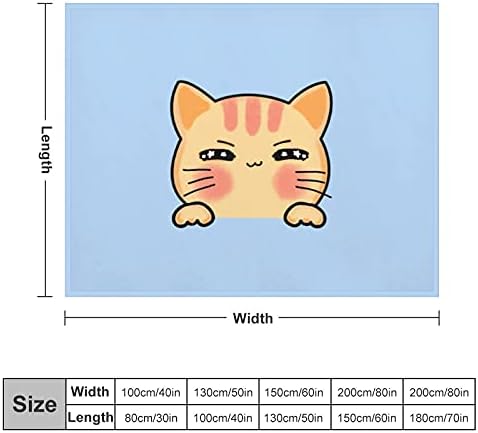 40 x50 fofo anti-alérgica anti-alérgica de pilão macia projeção de arte desenho animado de desenho animado de gato de estimação