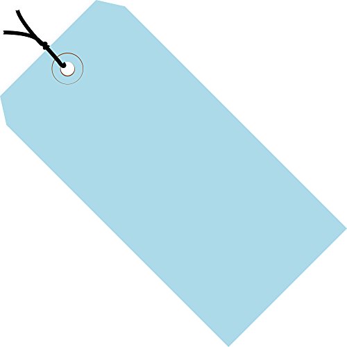 Tags de remessa Aviditi, 6 1/4 x 3 1/8, 13 pt, cinza, com ilhas reforçadas, para identificar ou endereçar itens que não podem ser rotulados e para remessas de código colorido, caso de 1000