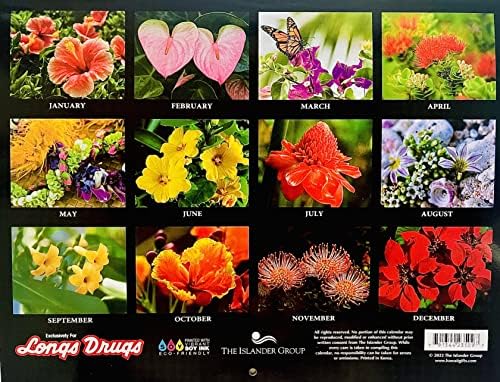 Long 2023 Flowers of Hawaii Hawaiian Twelve Calendário