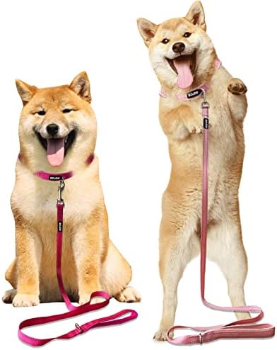 Azuza 2 pacote de pacote reflexivo cão coleira, alça acolchoada colares de cão de nylon para caminhar, trela de cachorro
