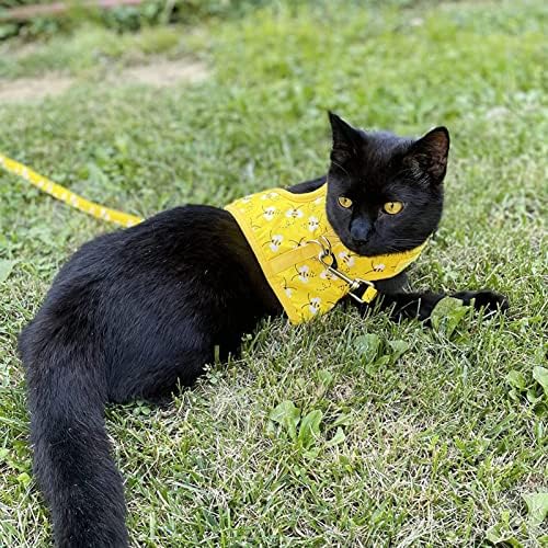 Arnês de gato de Bingpet com coleira e colarinho para caminhar - prova de fuga com 59 polegadas de colméia - arnês de colete macio