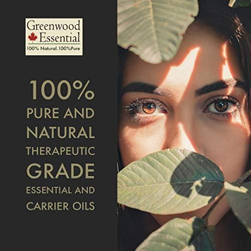 Greenwood Essential Mentha Citrata Óleo Citrata Natural Terapêutico Vapor Destilado 1250ml