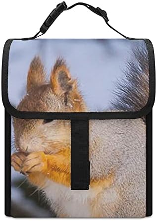 Gluttonous Squirrel Reutilable Tote Tote Bag Bolia de refeição isolada Recipiente de comida para piquenique para viagens