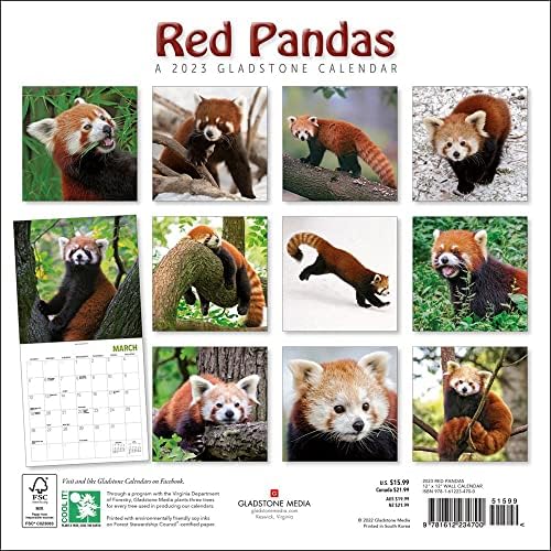 Gladstone Media, Red Pandas 2023 Wall Calendar