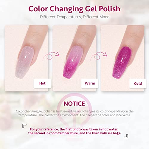 VISHINE MUDO DE COR MUDO DE GEL GEL POLENHO MUDO DE GEL Gel Polish Definir Mergulhar de Gel Gel Gel Polish para Nail Art Diy