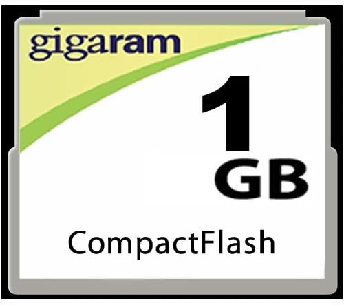 Padrão de 1 GB de 2GB 4GB 8GB 16GB 32GB CF 80X Compact Flash Memory Card