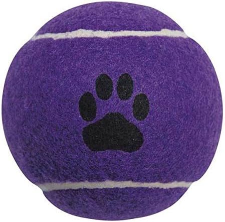 Bolas de tênis para cães 2,5 polegadas de brinquedos coloridos extra duráveis ​​em massa disponíveis variam