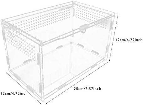 Caixa de alimentação de répteis acrílicos Flyan 3.9x3.15x2.75 polegadas Caixa de criação de vidro transparente Terrarium