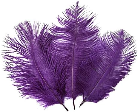Ttndstore 10pcs hard hard haste púrpura natural penas de avestruz para artesanato 15-75 cm decoração de penas de penas